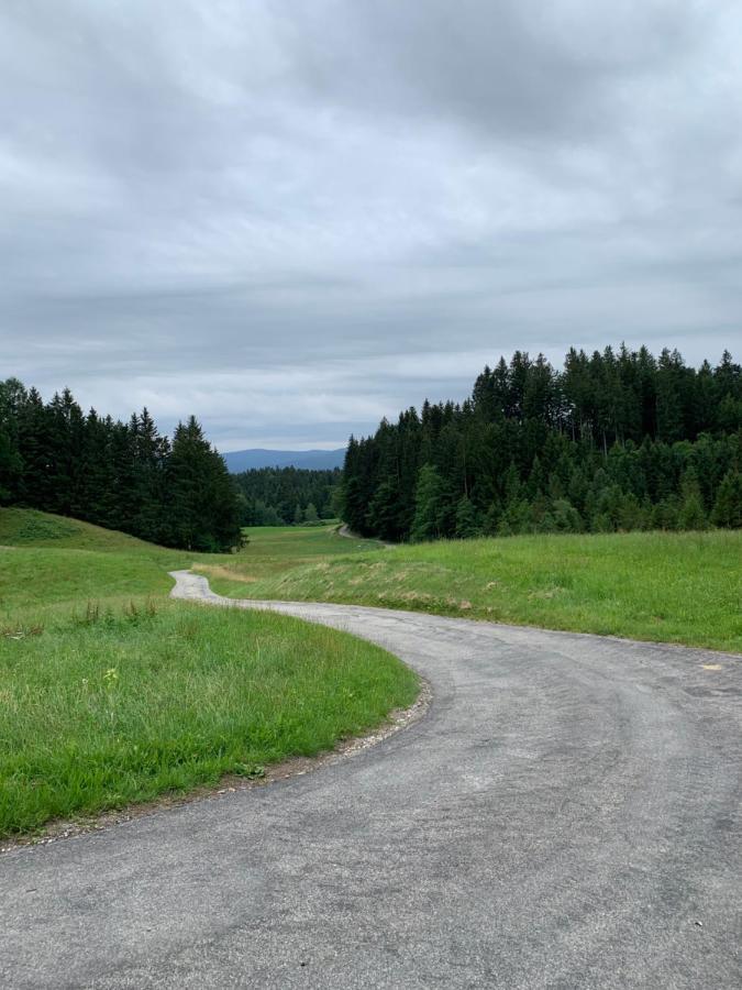 Apartman Artemis Bešeňová Kültér fotó